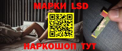 spice Донецк