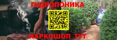 крисы Дубна