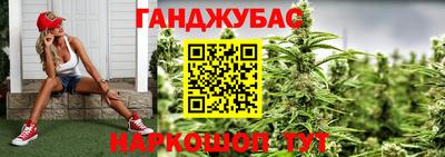 крисы Дубна