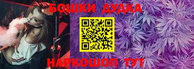 крисы Дубна