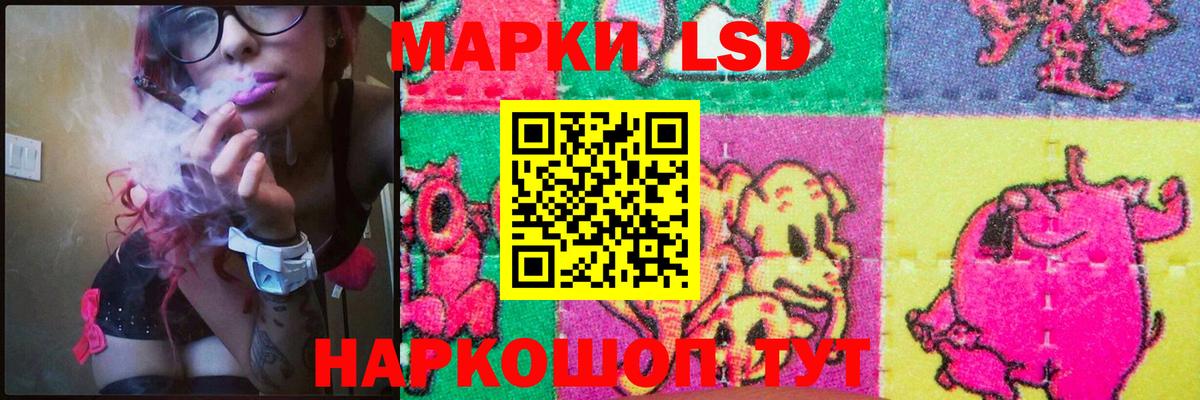ЛСД экстази ecstasy  Вход с VPN  LSD-25 экстази ecstasy  Карачаевск 
