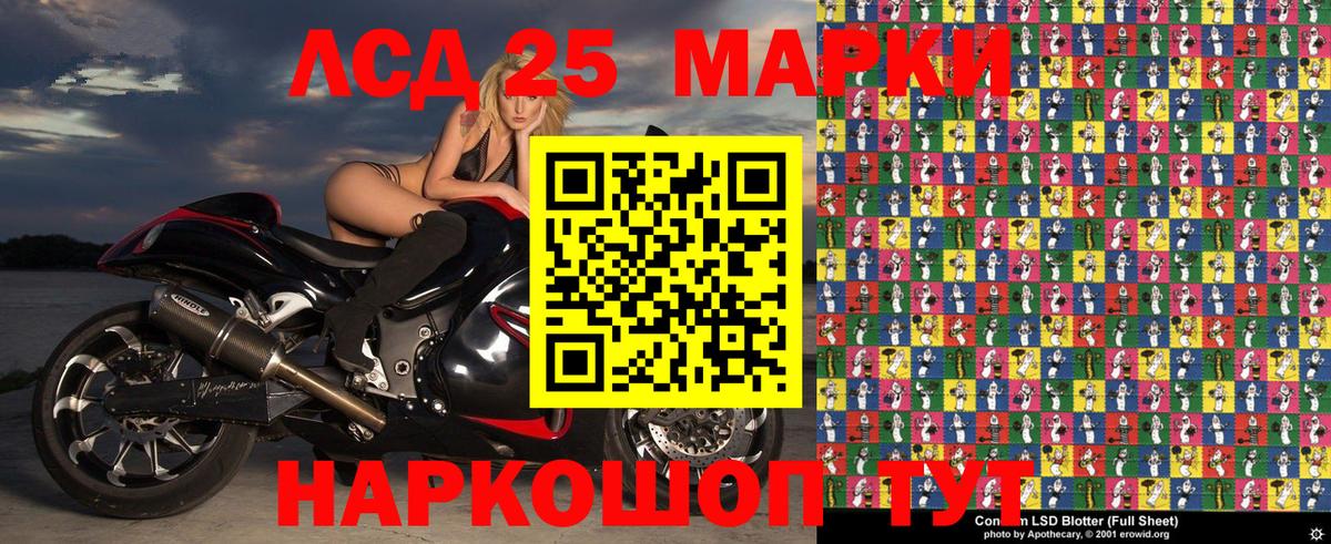 Псилоцибиновые грибы Карачаевск