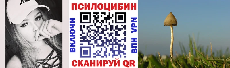 Псилоцибиновые грибы мухоморы  как найти закладки  Карачаевск 