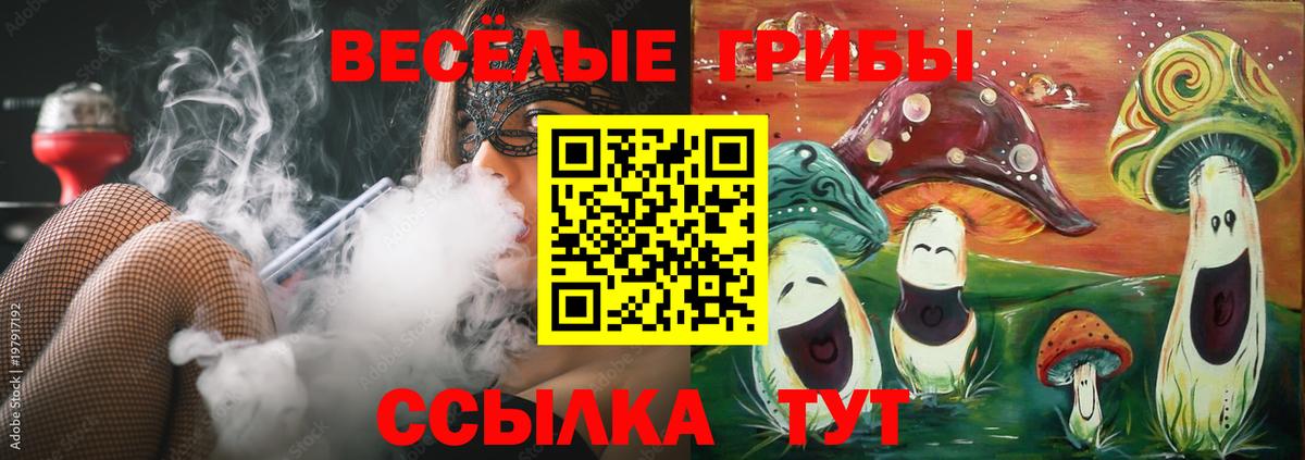 Карачаевск  Галлюциногенные грибы мицелий  Псилоцибиновые грибы Cubensis  Вход с VPN 